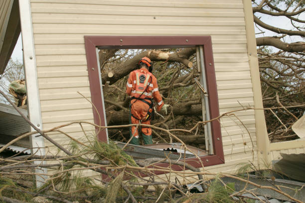 Trusted Lincoln, ID Tree Services Experts